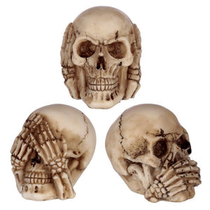 Set of Skulls