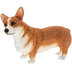 Corgi Standing by Leonardo