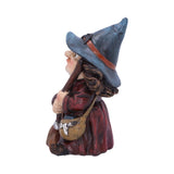 Small Witch and Broomstick Figurine Toil 9.7cm