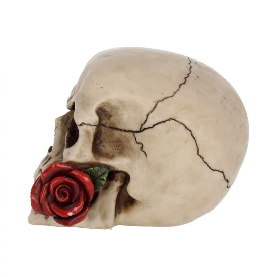 Rose From the Dead Skull Ornament 15cm