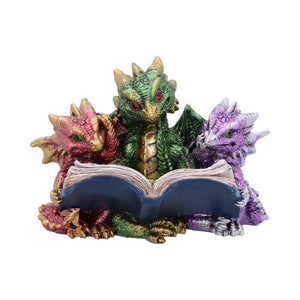 Dragon Tales of Fire 11.5cm